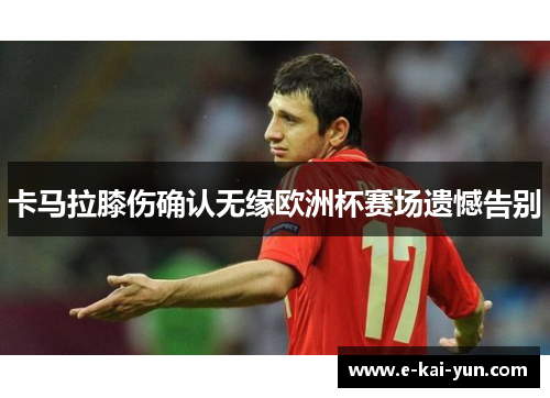 卡马拉膝伤确认无缘欧洲杯赛场遗憾告别